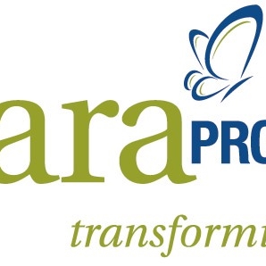 The Cara Program